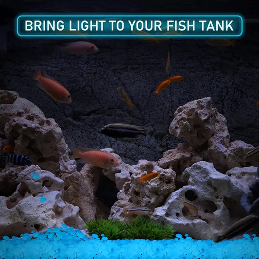 100x! Glow In The Dark Stones | Decorative Stones | Aquarium Pebbles | Garden Stones | Blue V1189-WXFBOL-94-1