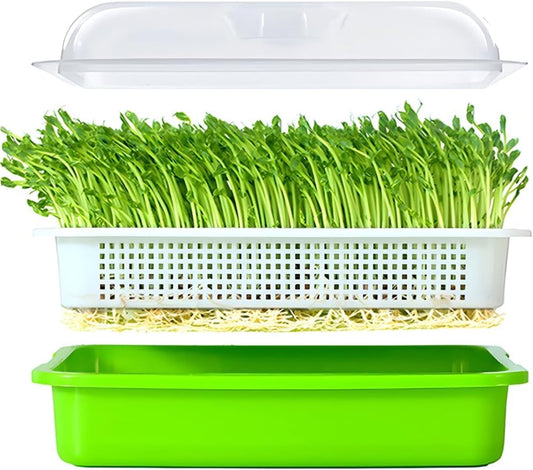 12.8x9.5x1.6 In Green Seed Sprouting Tray with Drain Holes,Microgreens Growing Trays,Growing Trays,seed V1189-WXFWAL-20260319-00065