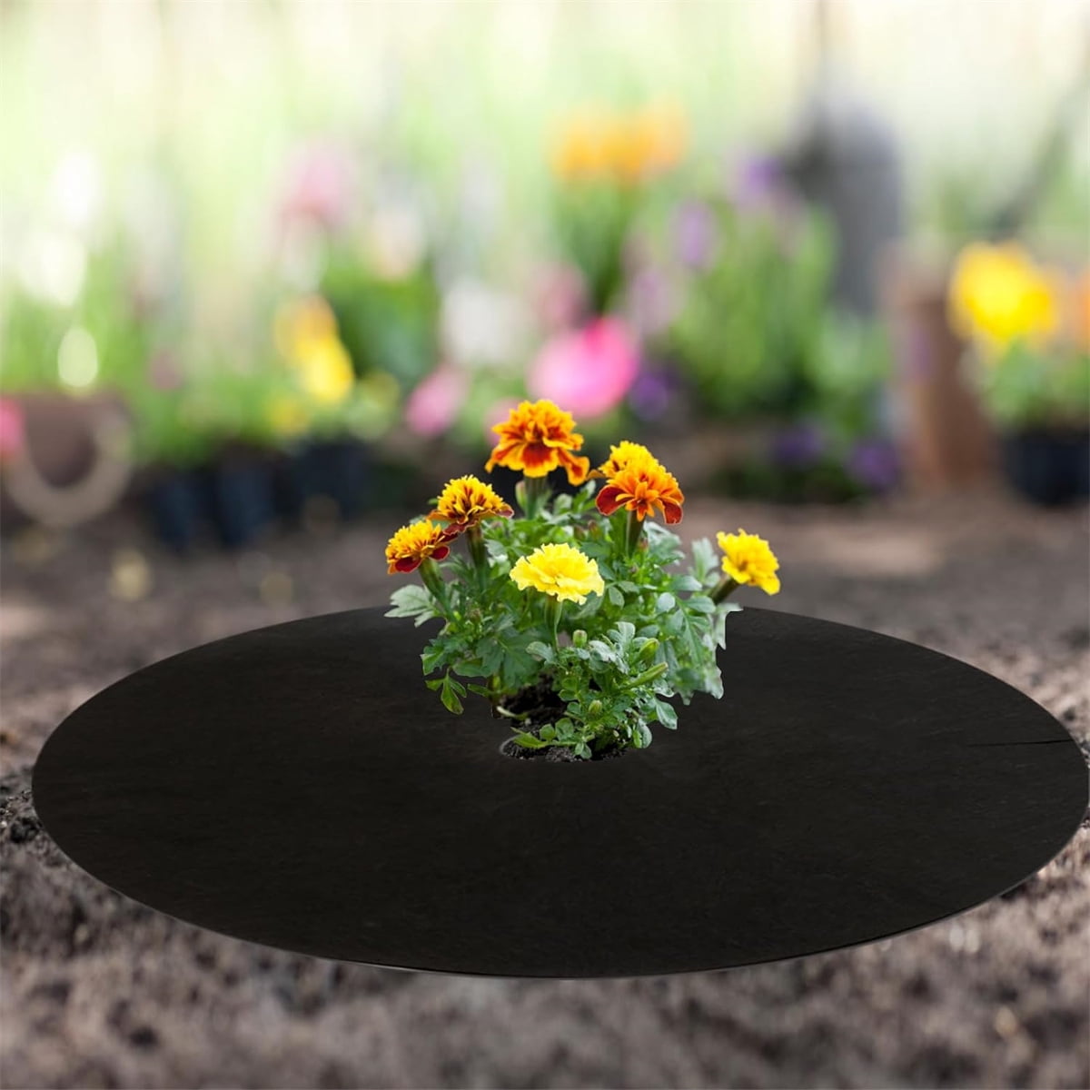 Tutuviw Non Woven Tree Ring, 24.4 inches Round Tree Base Weed Barrier Fabric Cover, Degradable and Reusable V1189-WXFWAL-20260319-00120