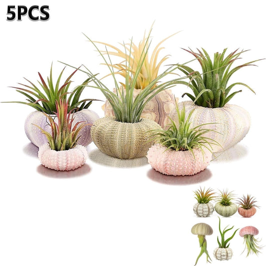Tutuviw 5 Pcs Mini Sea Urchin Shell Air Plant Holders,Decorative Hanging Air Plant Pot, Tillandsia Succulent V1189-WXFWAL-20260319-00169