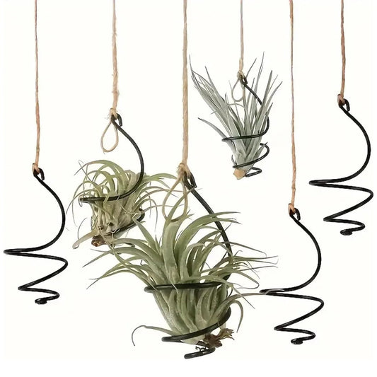 Tutuviw 6 Pcs Air Pineapple Pot Air Plant Hanger Holder,Plant Stands Hanging with Jute Ropes,Modern Plants V1189-WXFWAL-20260319-00249