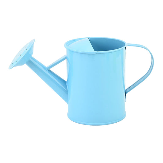 Metal Watering Can, Iron Sprinkling Kettle, Garden Watering Pot for Outdoor Plants Watering Equipment, V1189-WXFWAL-20260319-00277