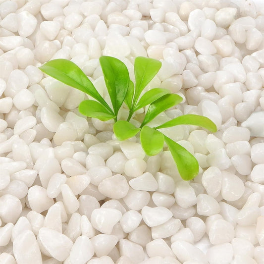 0.12-0.24" Portable Decorative Polished Pebbles,0.77lb Garden Landscaping Pebbles,QZS Decorative Small River V1189-WXFWAL-20260319-00627