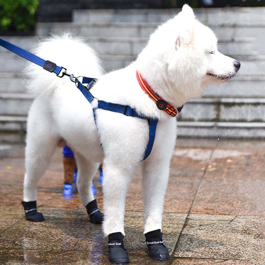 Pet Shoes, Candy Colors Anti-Slip Waterproof Rubber Rain Shoes Boots Paw Cover, Dog Boots & Paw Protectors, V1189-WXFWAL-20260319-00672