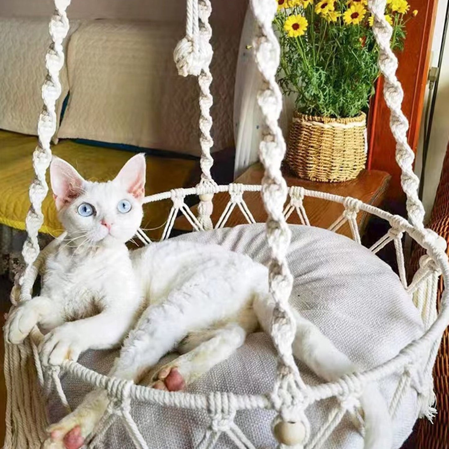 Macrame Cat Hammock, Handwoven Cats Bed, Hanging Indoor Boho Kitten Swing Beds, Hanging Cats Bed, Kitty V1189-WXFWAL-20260319-00784