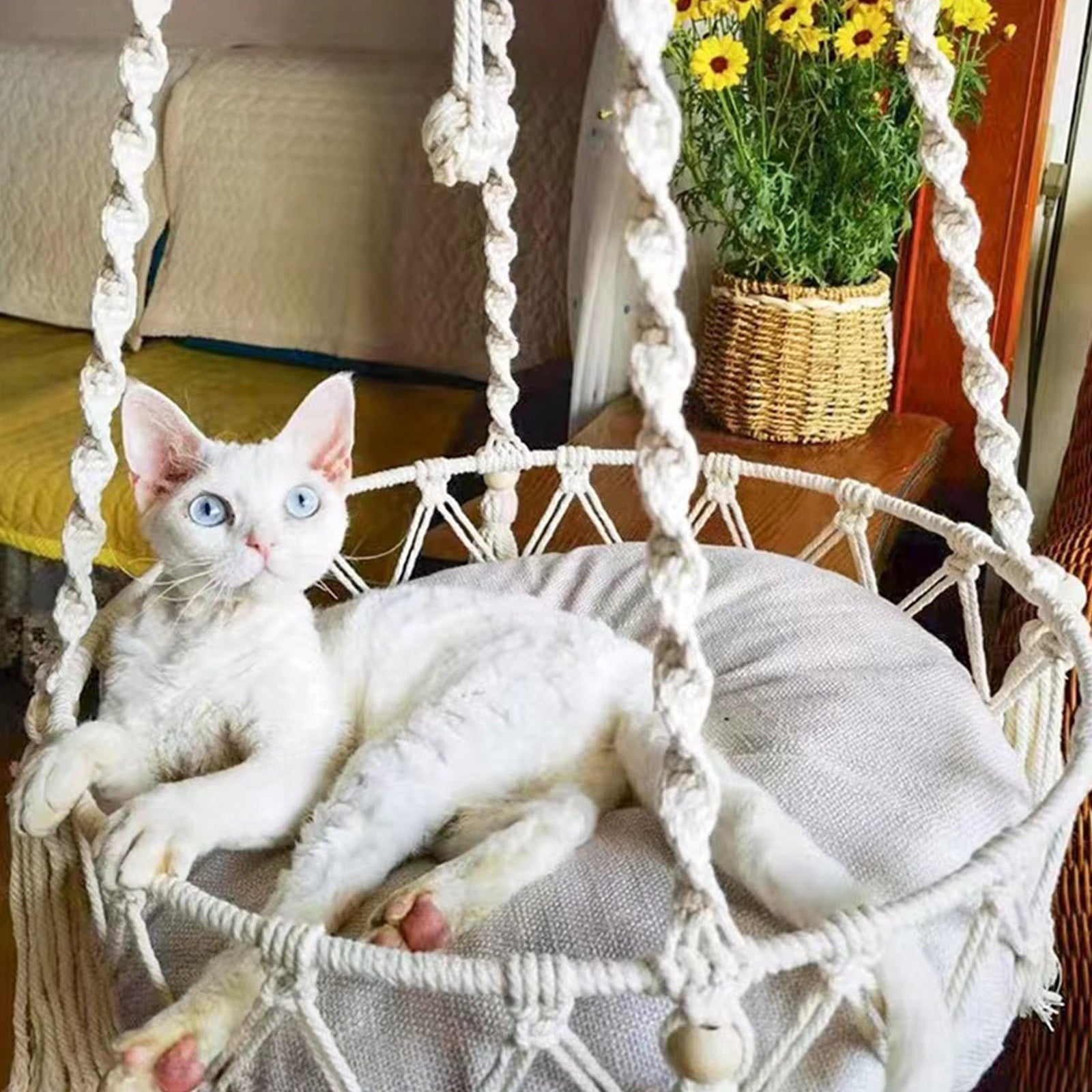 Macrame Cat Hammock, Handwoven Cats Bed, Hanging Indoor Boho Kitten Swing Beds, Hanging Cats Bed, Kitty V1189-WXFWAL-20260319-00784