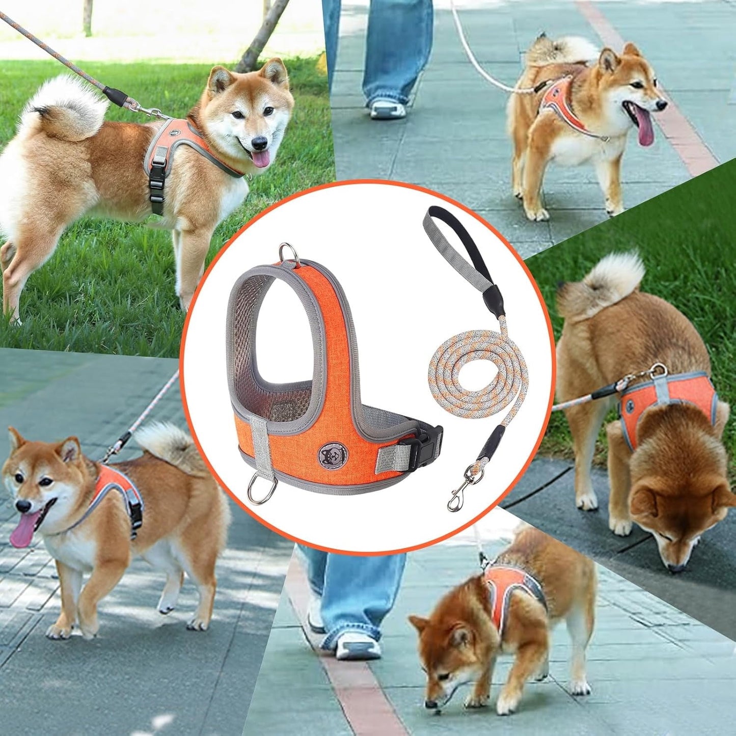 Dog Harness and Leash, No Pull Saddle Style Pet Harness, Breathable Mesh Adjustable Reflective Dog Vest, Dog V1189-WXFWAL-20260319-01026