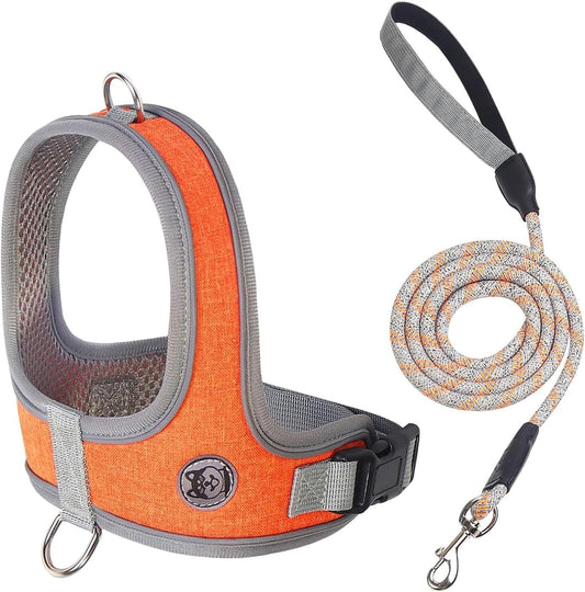 Dog Harness and Leash, No Pull Saddle Style Pet Harness, Breathable Mesh Adjustable Reflective Dog Vest, Dog V1189-WXFWAL-20260319-01028
