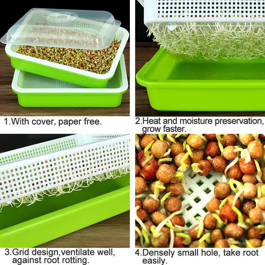 Tutuviw BPA Free Hydroponics Soilless Seeds Sprouter Microgreen Seed Sprouter Trays Seed Germination Double V1189-WXFWAL-20260319-01182