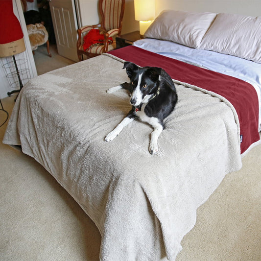 Pawsse Waterproof Pet Blanket, Pee Urine Proof Dog Blanket Cover for Couch Bed Furniture Protector, Liquid V1189-WXFWAL-20260319-01377