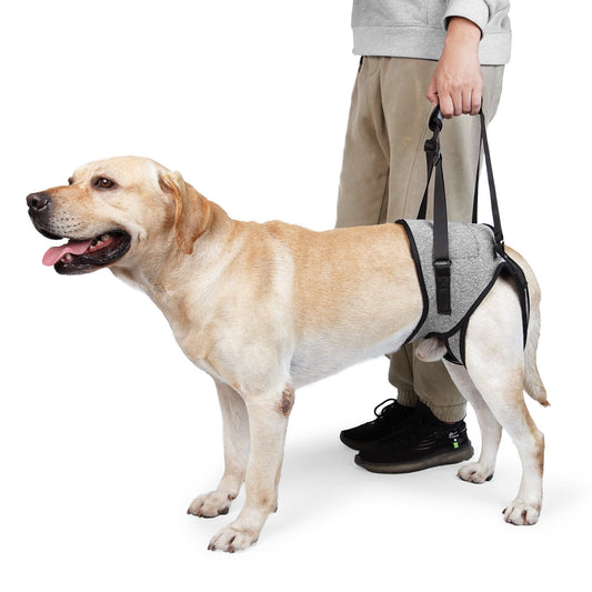 Dog Sling for Large Dogs Hind Leg Adjustable Dog Lift Harnesses For Walking/Climbing Pet Auxiliary Slings for V1189-WXFWAL-20260319-01513