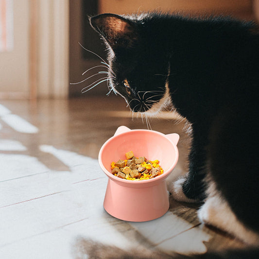Darzheoy Raised Cat Food Bowl 15 Degrees Elevated Cat Bowls Anti Vomiting Tilted Raised Cat Food Bowl Plastic V1189-WXFWAL-20260326-01865