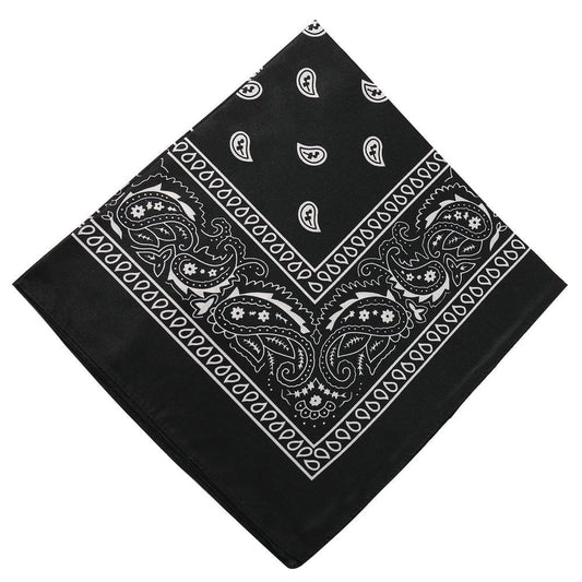 Darzheoy 22 inch Cotton Paisley Bandana Multi Colored Set Cowboy Bandana Head Scarf Double-sided for Men & V1189-WXFWAL-20260326-01901