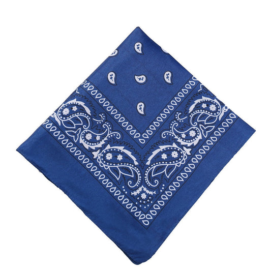Darzheoy 22 inch Cotton Paisley Bandana Multi Colored Set Cowboy Bandana Head Scarf Double-sided for Men & V1189-WXFWAL-20260326-01902