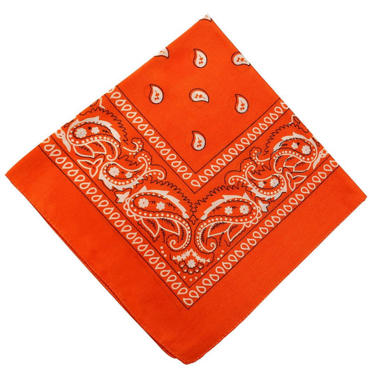 Darzheoy 22 inch Cotton Paisley Bandana Multi Colored Set Cowboy Bandana Head Scarf Double-sided for Men & V1189-WXFWAL-20260326-01903