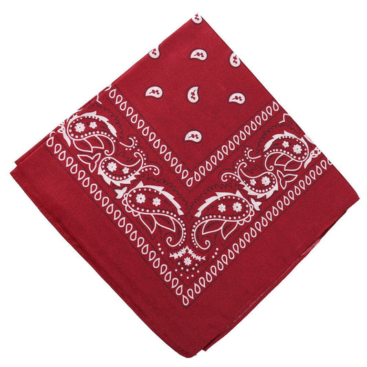 Darzheoy 22 inch Cotton Paisley Bandana Multi Colored Set Cowboy Bandana Head Scarf Double-sided for Men & V1189-WXFWAL-20260326-01904