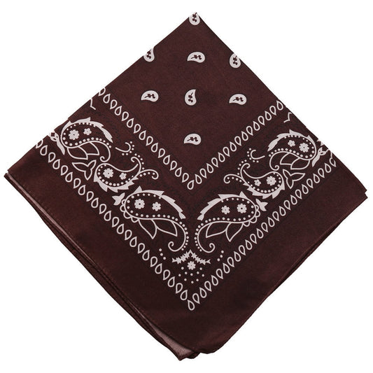 Darzheoy 22 inch Cotton Paisley Bandana Multi Colored Set Cowboy Bandana Head Scarf Double-sided for Men & V1189-WXFWAL-20260326-01905