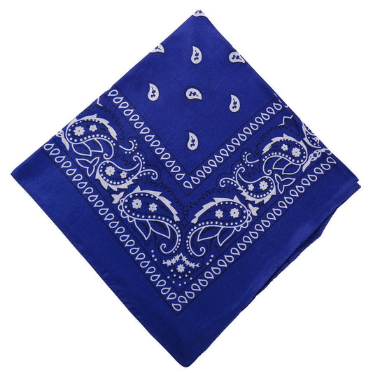 Darzheoy 22 inch Cotton Paisley Bandana Multi Colored Set Cowboy Bandana Head Scarf Double-sided for Men & V1189-WXFWAL-20260326-01906