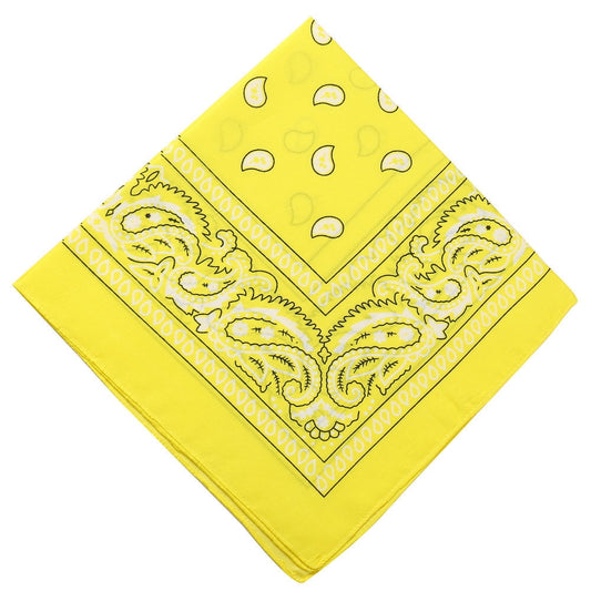 Darzheoy 22 inch Cotton Paisley Bandana Multi Colored Set Cowboy Bandana Head Scarf Double-sided for Men & V1189-WXFWAL-20260326-01907