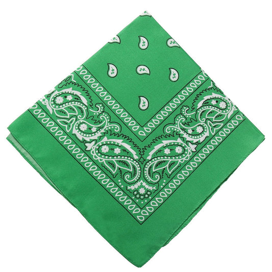 Darzheoy 22 inch Cotton Paisley Bandana Multi Colored Set Cowboy Bandana Head Scarf Double-sided for Men & V1189-WXFWAL-20260326-01909