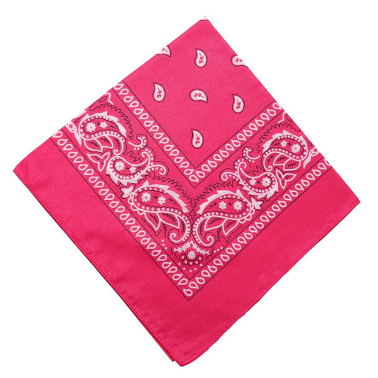 Darzheoy 22 inch Cotton Paisley Bandana Multi Colored Set Cowboy Bandana Head Scarf Double-sided for Men & V1189-WXFWAL-20260326-01910