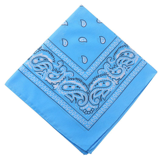 Darzheoy 22 inch Cotton Paisley Bandana Multi Colored Set Cowboy Bandana Head Scarf Double-sided for Men & V1189-WXFWAL-20260326-01911