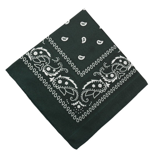 Darzheoy 22 inch Cotton Paisley Bandana Multi Colored Set Cowboy Bandana Head Scarf Double-sided for Men & V1189-WXFWAL-20260326-01912