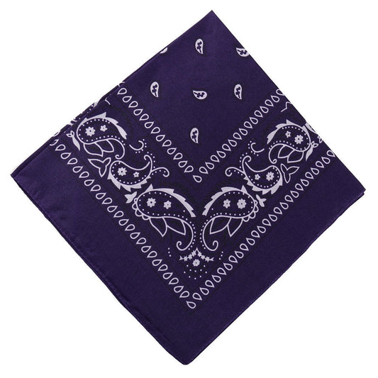 Darzheoy 22 inch Cotton Paisley Bandana Multi Colored Set Cowboy Bandana Head Scarf Double-sided for Men & V1189-WXFWAL-20260326-01913