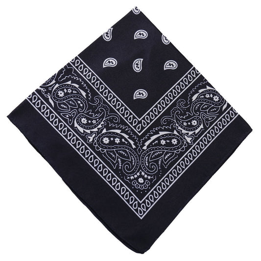 Darzheoy 22 inch Cotton Paisley Bandana Multi Colored Set Cowboy Bandana Head Scarf Double-sided for Men & V1189-WXFWAL-20260326-01914