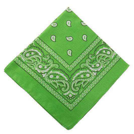 Darzheoy 22 inch Cotton Paisley Bandana Multi Colored Set Cowboy Bandana Head Scarf Double-sided for Men & V1189-WXFWAL-20260326-01915