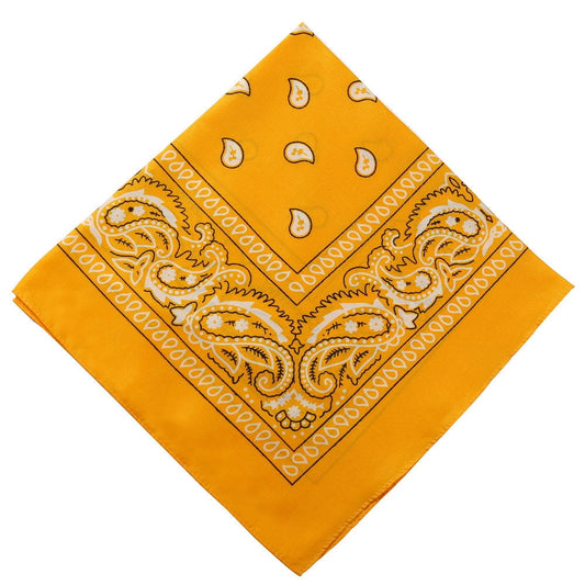 Darzheoy 22 inch Cotton Paisley Bandana Multi Colored Set Cowboy Bandana Head Scarf Double-sided for Men & V1189-WXFWAL-20260326-01916