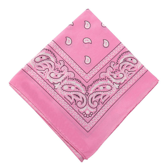 Darzheoy 22 inch Cotton Paisley Bandana Multi Colored Set Cowboy Bandana Head Scarf Double-sided for Men & V1189-WXFWAL-20260326-01917
