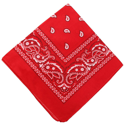 Darzheoy 22 inch Cotton Paisley Bandana Multi Colored Set Cowboy Bandana Head Scarf Double-sided for Men & V1189-WXFWAL-20260326-01918