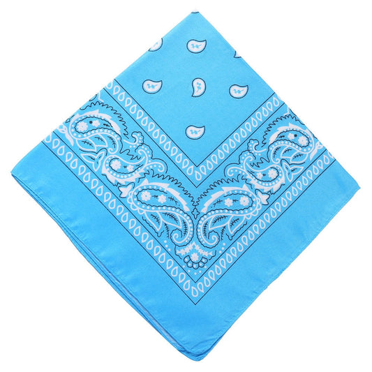 Darzheoy 22 inch Cotton Paisley Bandana Multi Colored Set Cowboy Bandana Head Scarf Double-sided for Men & V1189-WXFWAL-20260326-01919