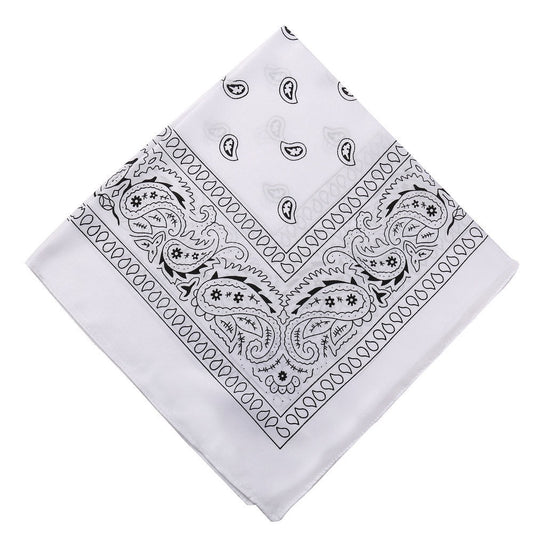 Darzheoy 22 inch Cotton Paisley Bandana Multi Colored Set Cowboy Bandana Head Scarf Double-sided for Men & V1189-WXFWAL-20260326-01920