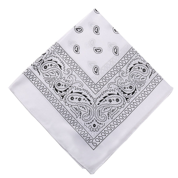 Darzheoy 22 inch Cotton Paisley Bandana Multi Colored Set Cowboy Bandana Head Scarf Double-sided for Men & V1189-WXFWAL-20260326-01920