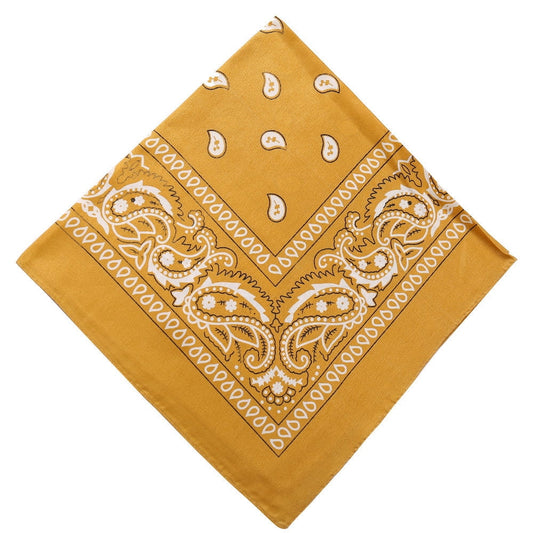 Darzheoy 22 inch Cotton Paisley Bandana Multi Colored Set Cowboy Bandana Head Scarf Double-sided for Men & V1189-WXFWAL-20260326-01921