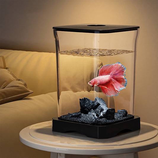 Darzheoy Small Fish Tank Kit, Desktop Fish Tank, Mini Aquarium with Led Light Decoration, Small Aquarium V1189-WXFWAL-20260326-02070