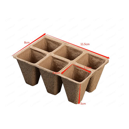 Darzheoy 30 Cells Peat Pots Seed Starter Trays 5 Packs Biodegradable Seedling Pots Germination Trays Organic V1189-WXFWAL-20260326-02113