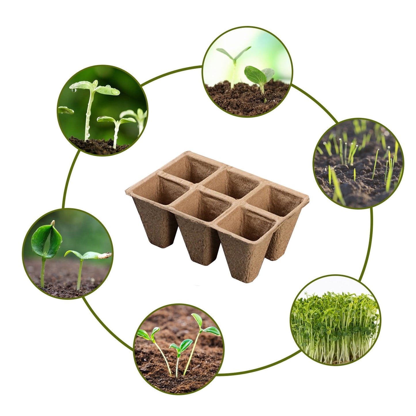 Darzheoy 30 Cells Peat Pots Seed Starter Trays 5 Packs Biodegradable Seedling Pots Germination Trays Organic V1189-WXFWAL-20260326-02113