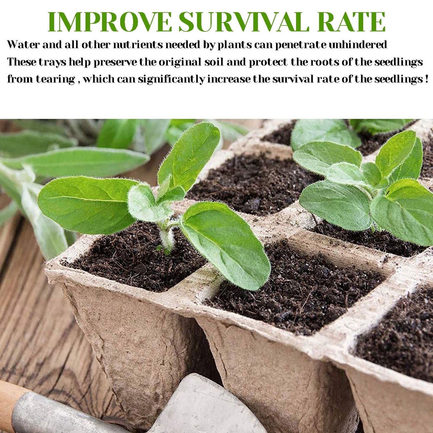 Darzheoy 30 Cells Peat Pots Seed Starter Trays 5 Packs Biodegradable Seedling Pots Germination Trays Organic V1189-WXFWAL-20260326-02114