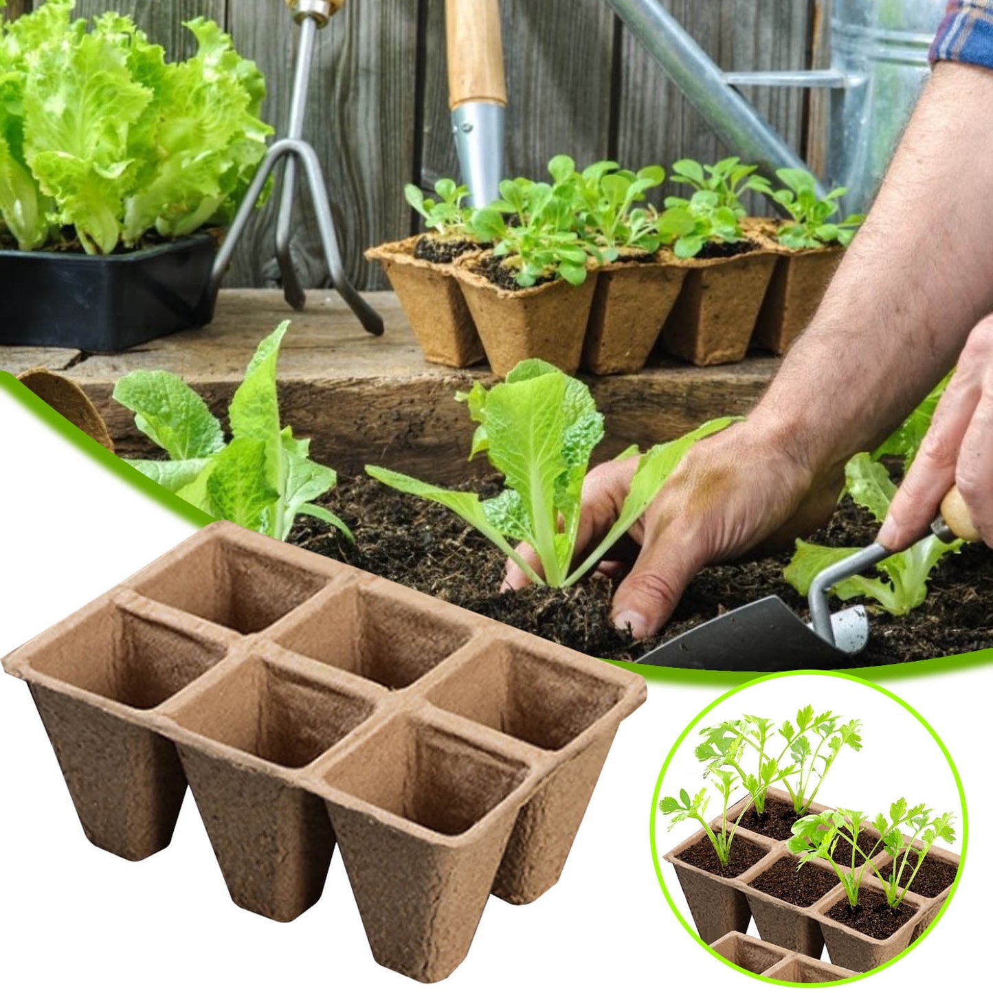 Darzheoy 30 Cells Peat Pots Seed Starter Trays 5 Packs Biodegradable Seedling Pots Germination Trays Organic V1189-WXFWAL-20260326-02115