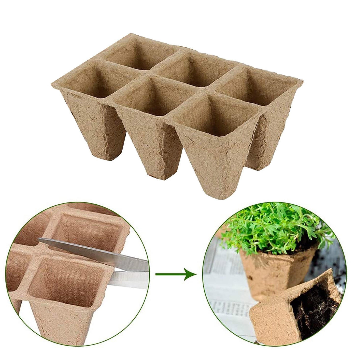 Darzheoy 30 Cells Peat Pots Seed Starter Trays 5 Packs Biodegradable Seedling Pots Germination Trays Organic V1189-WXFWAL-20260326-02115