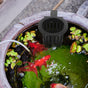 HOOWIFFY 6Pcs Black Fish Tank Plant Holder for Hydroponic Aquatic Plants with Slots V1189-WXFWAL-20260326-02558