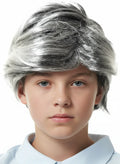 Salt and Pepper Boys Old Man Costume Wig V1191-K-HC-ZT-04499