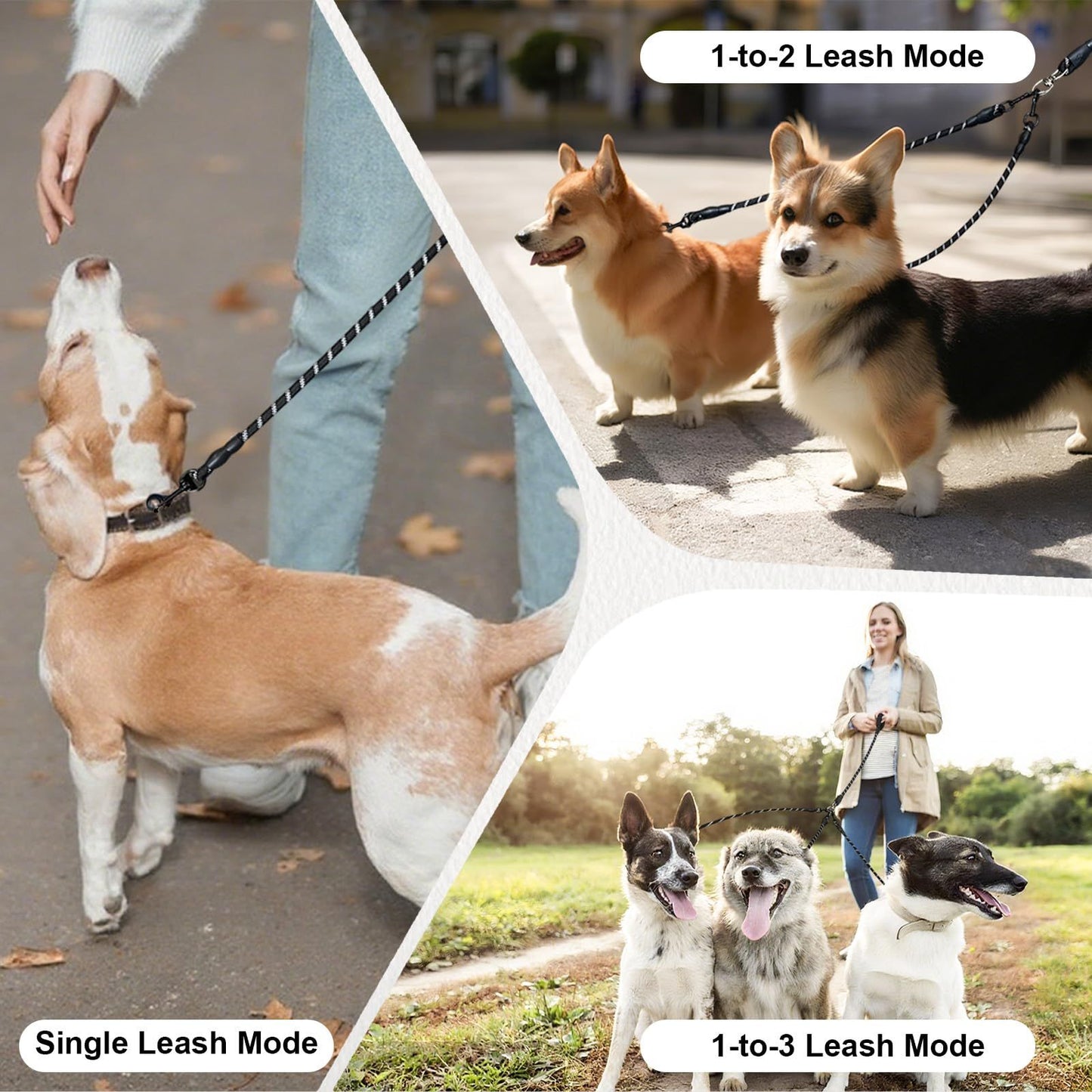 No Tangle 3 Dog - Main Lead Rope with Padded Handle, Three Detachable Leash Splitters, Heavy-Duty Clip, V1192-AZ-W-0085