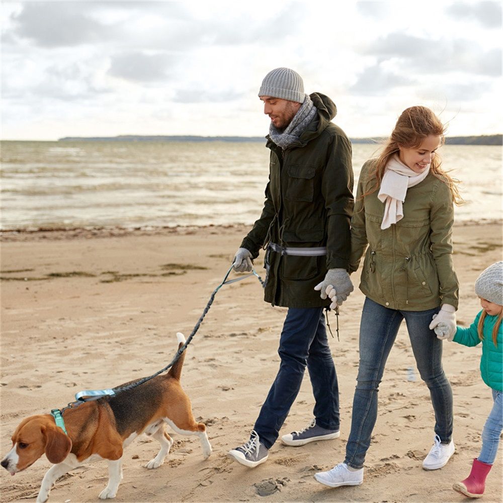 Hands Free Waist Leash for Dog Running Training and Jogging, Adjustable Belt with Double Handle, Reflective V1192-AZ-W-0262
