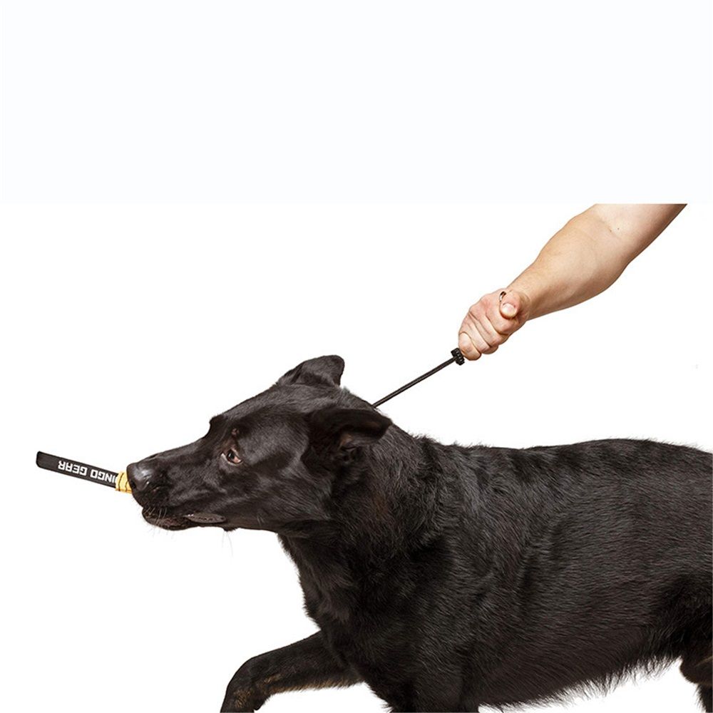 Slip ring black pet training P-chain explosion-proof drawstring with limiter, medium and large dog training V1192-AZ-W-0300