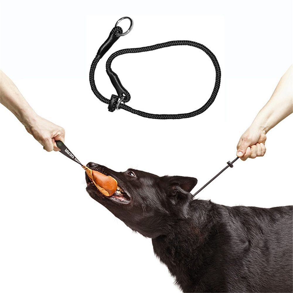 Slip ring black pet training P-chain explosion-proof drawstring with limiter, medium and large dog training V1192-AZ-W-0300