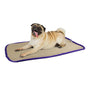 Pet Comfort Dog Pillow, Tiny 12" x 19" - Machine Dog Bed for House, Sofa, Crate & Travel - Soft, Comfy, V1192-AZ-W-0385